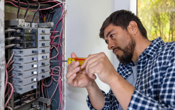 Best Home Electrical Repair  in La Presa, CA